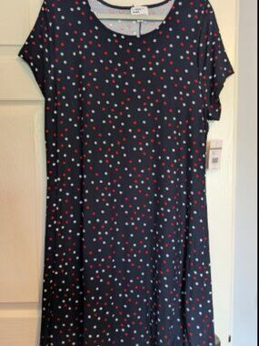 Liberty Park Size L Dress - NWT
